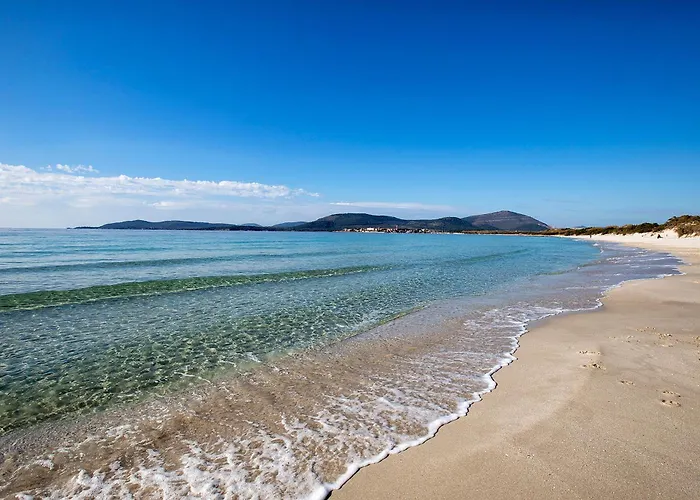 Апартаменты Luxury Sofia